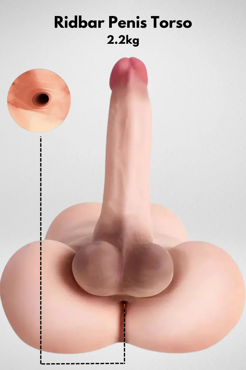 Ridbar Penis Torso  Expressleverans